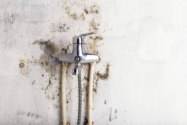 Best Mold Testing and Inspection Services in Oakwood, OH