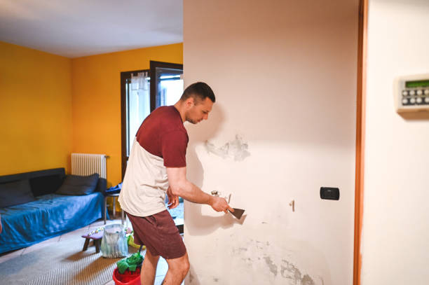 Best Preventive Mold Services in Oakwood, OH